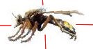 Entomology