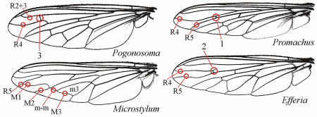 Fig. 9: Wing, special cases