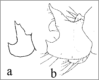 Fig. 5ab