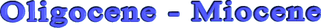 Oligocene - Miocene