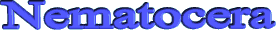 Nematocera