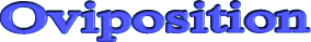 Oviposition