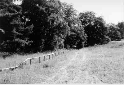 Fig. 2: Southern border of the army training area in Darmstadt.