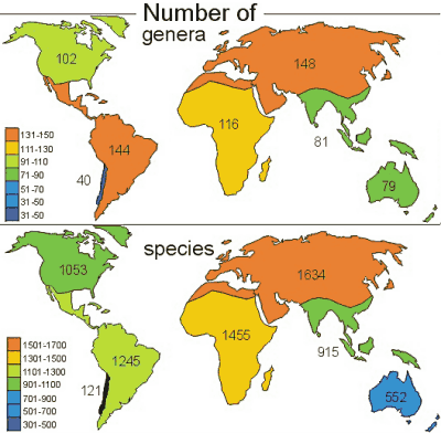 Number of species and genera
