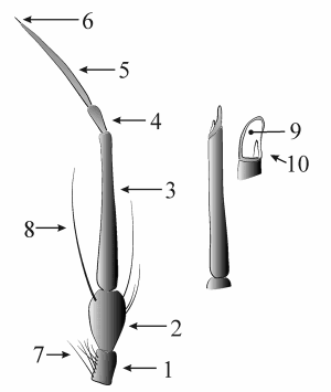 Fig. 1: antenna