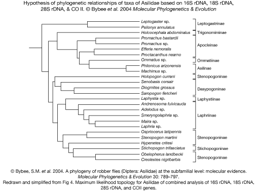 Bybee et al.