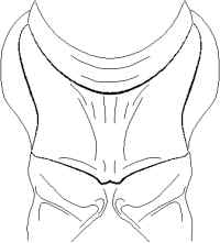 Fig. 16