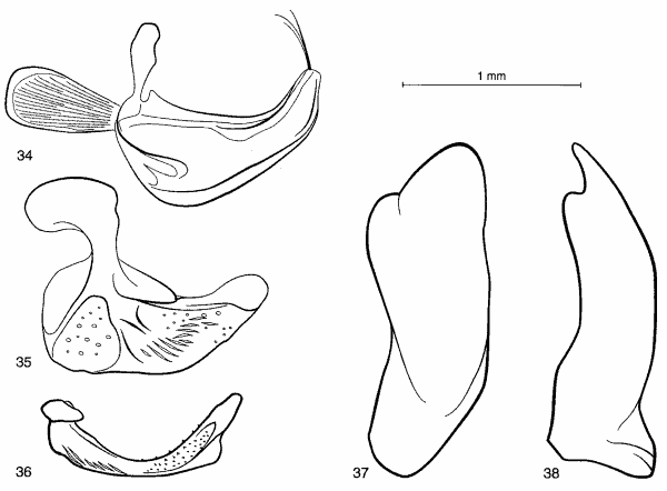 Figs 34-38