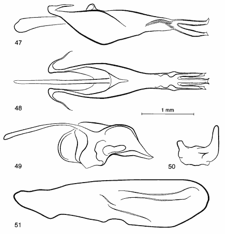 Figs 47-51