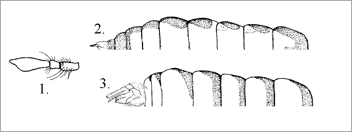 Abbildungen