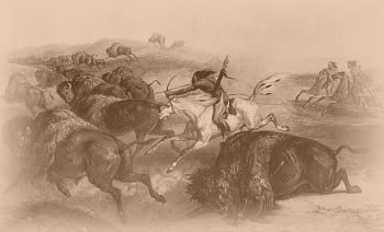 Bisonjagd [aus WIED, 1834]