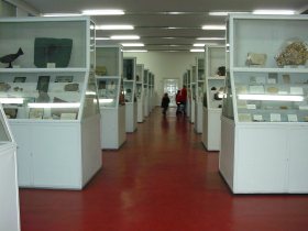 geology - ground floor (Red Hall)