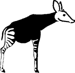 Okapi